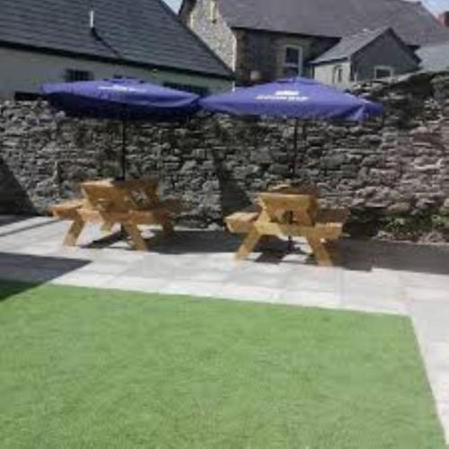 Y Llew Coch Tregaron in Tregaron