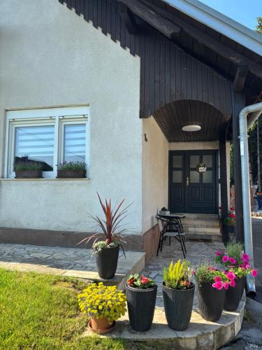 المنظر الخارجي, Apartma Laganini in Bosiljevo