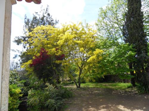 Quinta Do Bento Novo - Casa de Campo - Turismo Rural