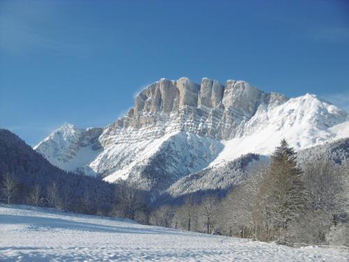 Les Centaurées - Apartment - Gresse en Vercors