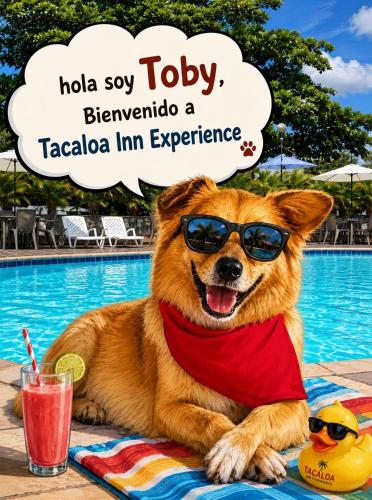 Hotel TACALOA INN EXPERIENCE