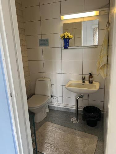 Bathroom, Huoneisto entisessa Honkolan kylakoulussa in Jaamala