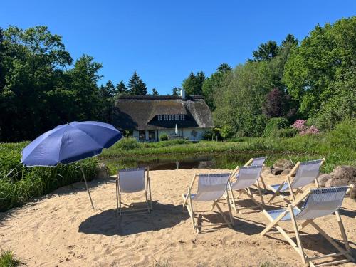 . Exklusives Reetdach-Ferienhaus mit Sauna, Whirlpool & Privatgarten - bis 10 Personen