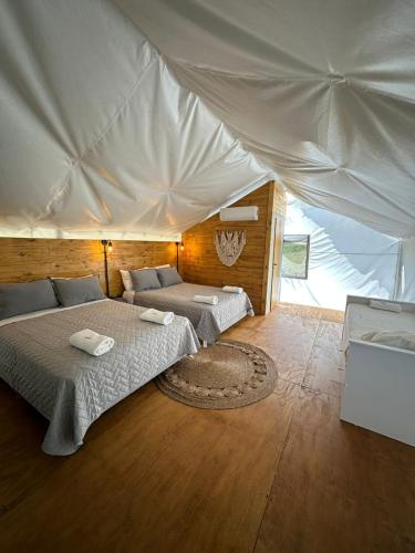 moraycamp