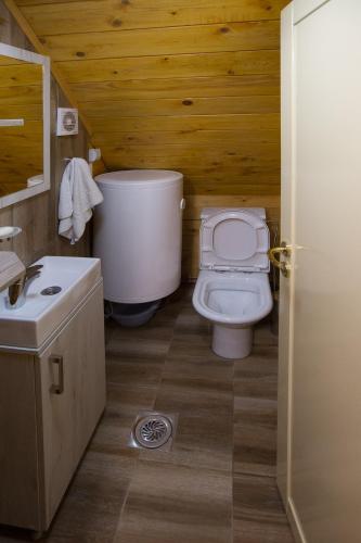 Vila Dizdarevic Kopaonik - image 7