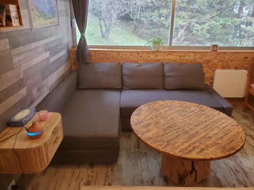 Appartement cosy dans le style chalet de montagne - Location saisonnière - Besse-et-Saint-Anastaise