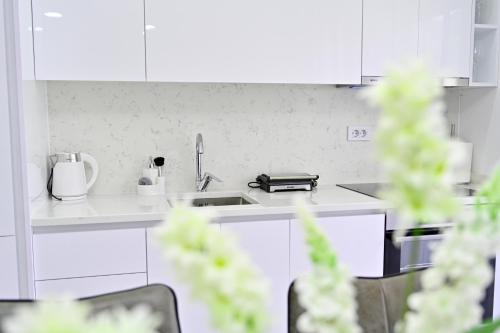 Apartmants Avdic in Ravanj
