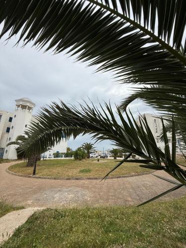 Amazing beach front apt access to private beach in Gammarth