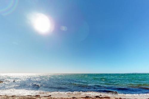 Bayside Beauty - image 35