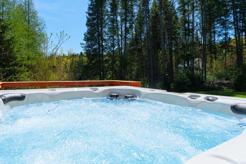 Relaxation et Nature Au Bord de l'eau avec Spa et vue sur le lac in Seintadolfa Dovarda (QC)