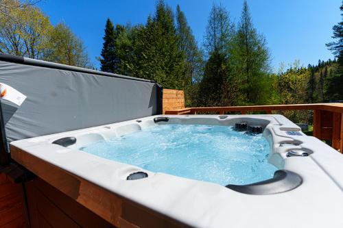 Relaxation et Nature Au Bord de l'eau avec Spa et vue sur le lac in Seintadolfa Dovarda (QC)