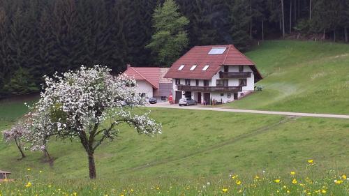 Ferienwohnung Ringwald - Apartment - Biederbach Baden-Württemberg