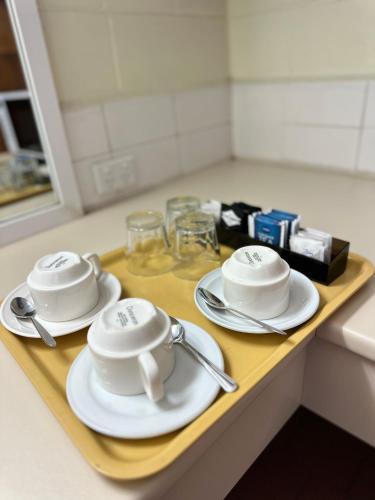 Charles Sturt Motor Inn in West Wyalong