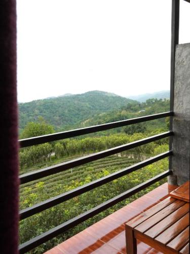 101 Tea Green View in Mae Salong (Chiang Rai)