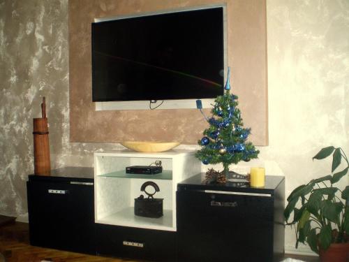 Apartment Zuric