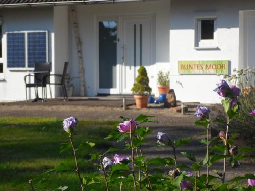 Buntes Moor - image 8