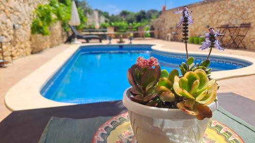 Gozo Inn Love 2