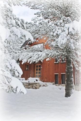 Vikendica Pahuljica - Location saisonnière - Risovac