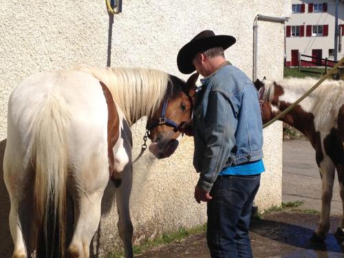 Logis de la Licorne