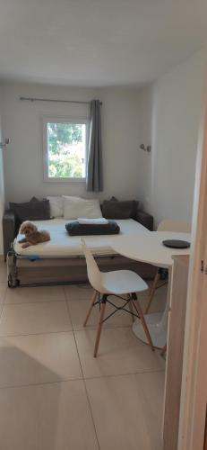 Residence Les Palmiers