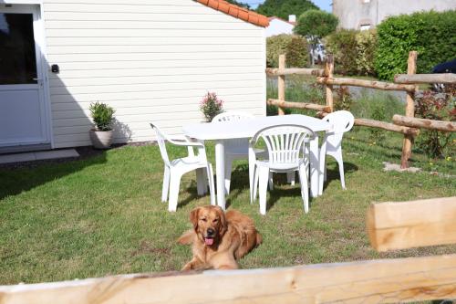 Dārzs, L'Eden maison avec jardin proche du Puy dufou in Les Landes-Genusson