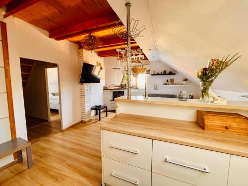 virtuve, Apartmán Pura Vida (Apartman Pura Vida) in Zajeci