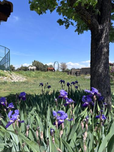 Apartamento Rural Casablanca in La Puebla de Valverde