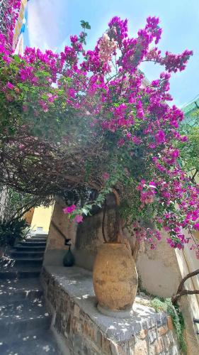 La Casa della Bouganvillea - Affitti Brevi Italia – khách sạn tại Torrazza