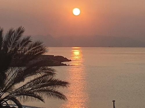 Paseo 15 in Palma-Palmilla