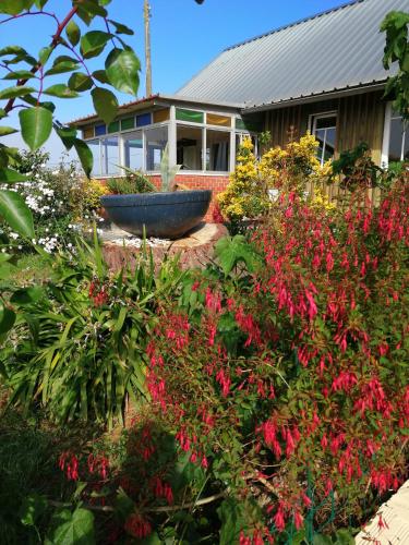 Casa do Pinheiro Country house near Óbidos with garden gîte à louer Bairro do Lobo