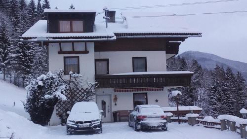 Ieeja, Flatzerhof in Haus im Ennštāla