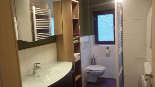 Fürdőszoba, Flatzerhof in Haus im Ennstal