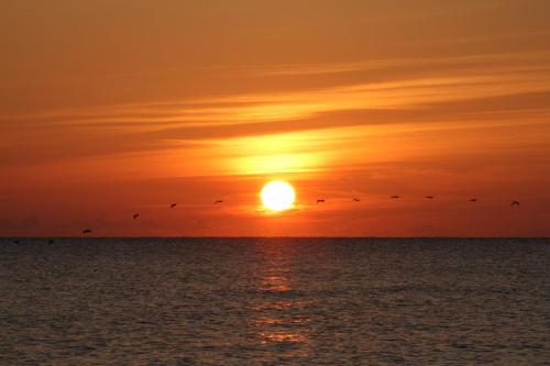 Oceanfront Inn And Suites Ormond In Ormond Beach From 75 - 