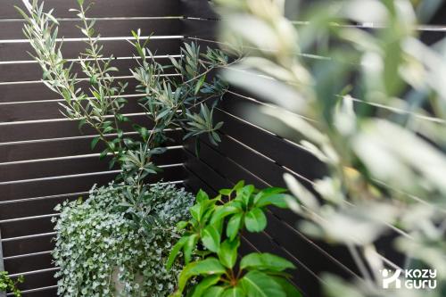 KozuGuru | Glebe | Iconic Inner-City Retreat - image 8