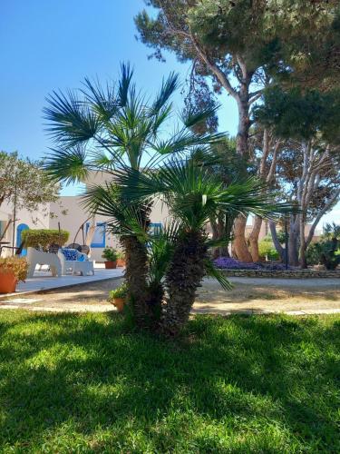 Blu Vacanze Apartments