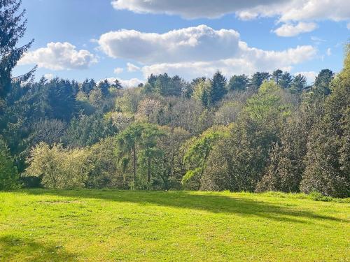 Dārzs, Woodland View in Chartridge