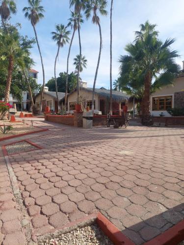 SS 9A Cabana rustica frente al malecon de La Paz - image 4