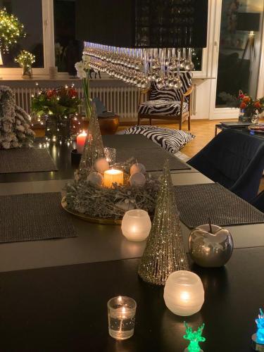 Stuttgart-Townhouse fully furnished w garden in Botnang