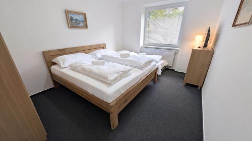 Apartmány DUŠE HOR Stříbrnice (Apartmany DUSE HOR Stribrnice) in Stare Mesto Pod Sneznikem