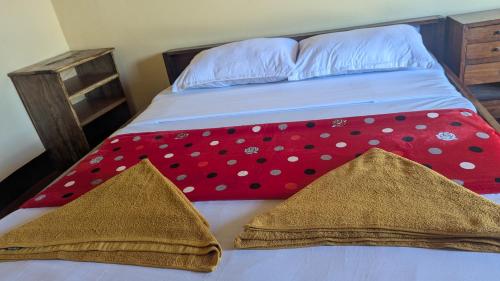 Maasai Homestay Experience-Lake Natron in Ngorongoro
