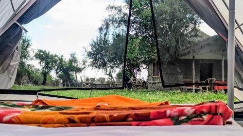 Maasai Homestay Experience-Lake Natron in Ngorongoro