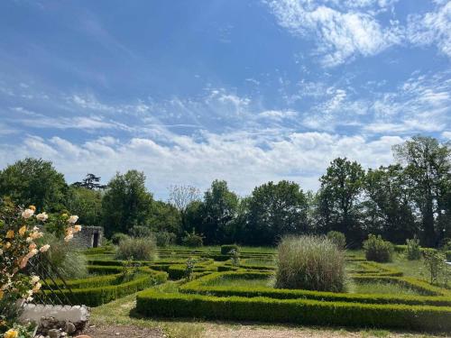 Room with a View in a Castle - Location, gîte - Noyant-Villages