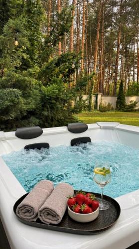 Навколишнє середовище, Golden Villas Luxury Garden Retreat - Jacuzzi & Sauna in Констанцін-Єзьорна