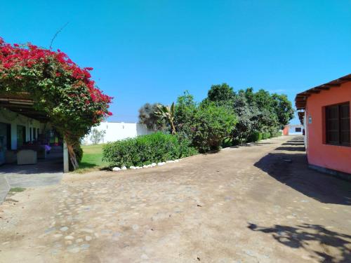 Casa de la Bodega