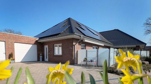 Dümmernest in Hüde, Deutschland