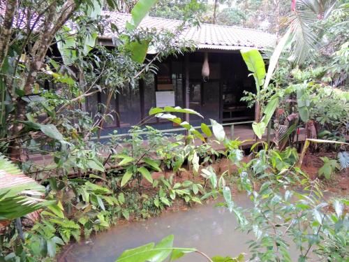 Yatama Rainforest Ecolodge