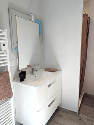 Fürdőszoba, Suites de la Plaine, proche CNPE Bugey et PIPA in Chazey-sur-Ain