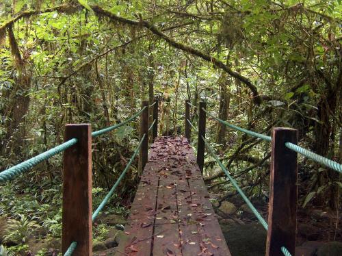 Yatama Rainforest Ecolodge