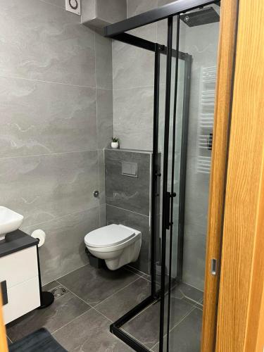 Apartman Burinović 2 (Apartman Burinovic 2) in Temerin