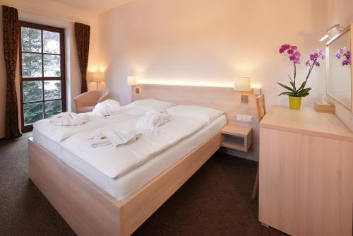 . Wellness hotel Sauna